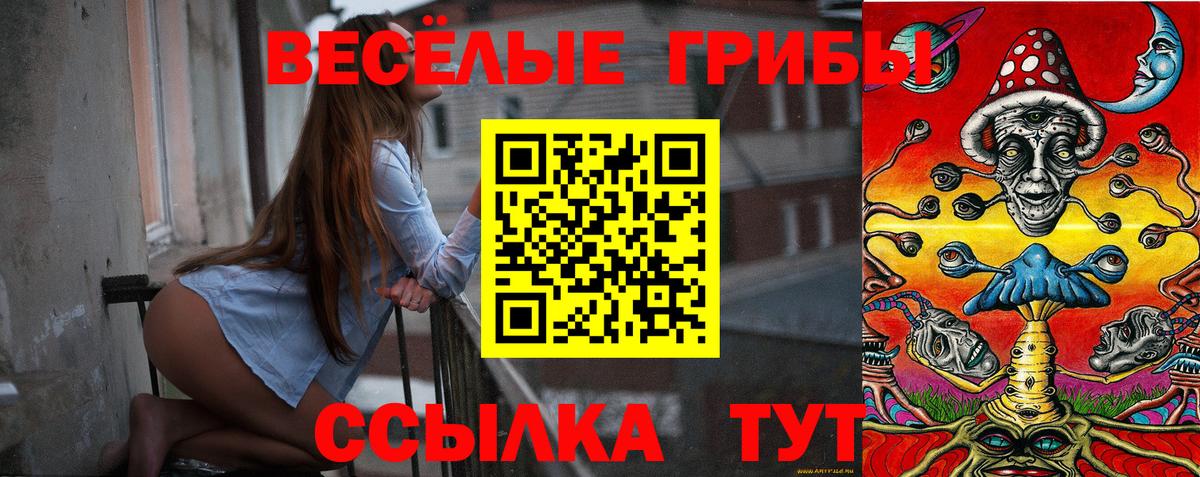 Галлюциногенные грибы Cubensis  Вход с VPN  Тольятти 